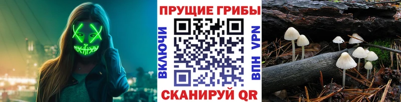 сайты даркнета наркотические препараты  Балабаново  Псилоцибиновые грибы ЛСД 